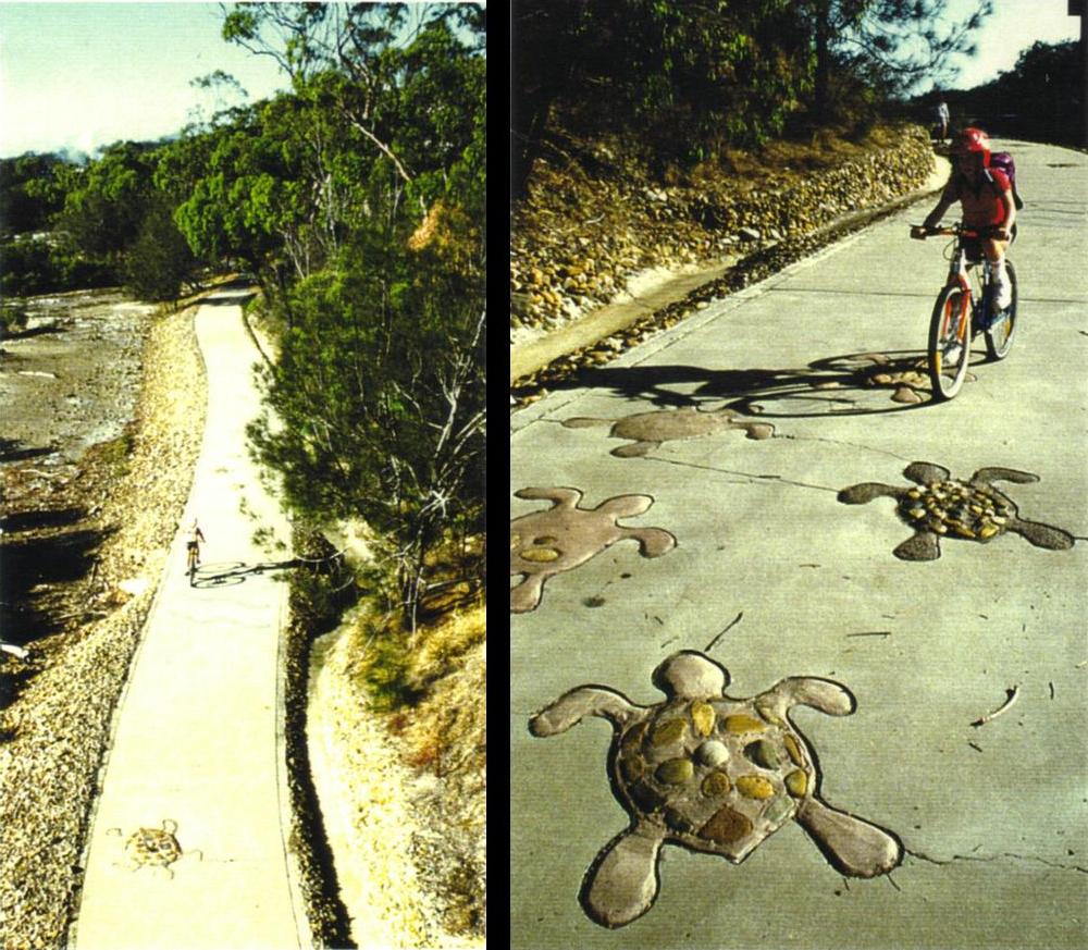 Turtle_Way_Linear